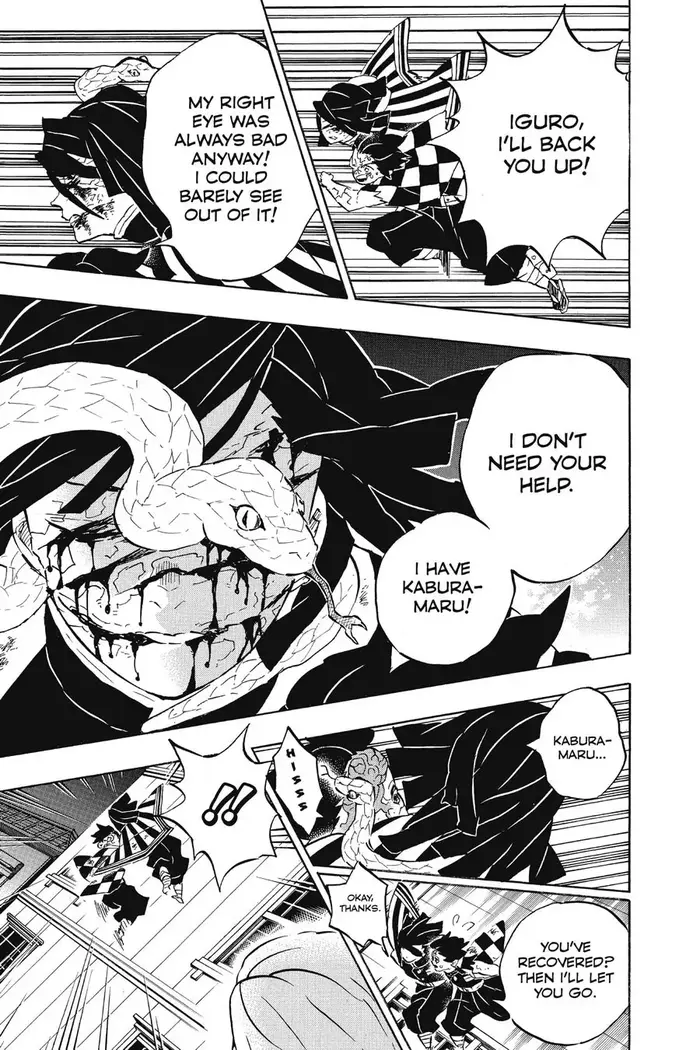 Demon Slayer Chapter 194 image 11_optimized
